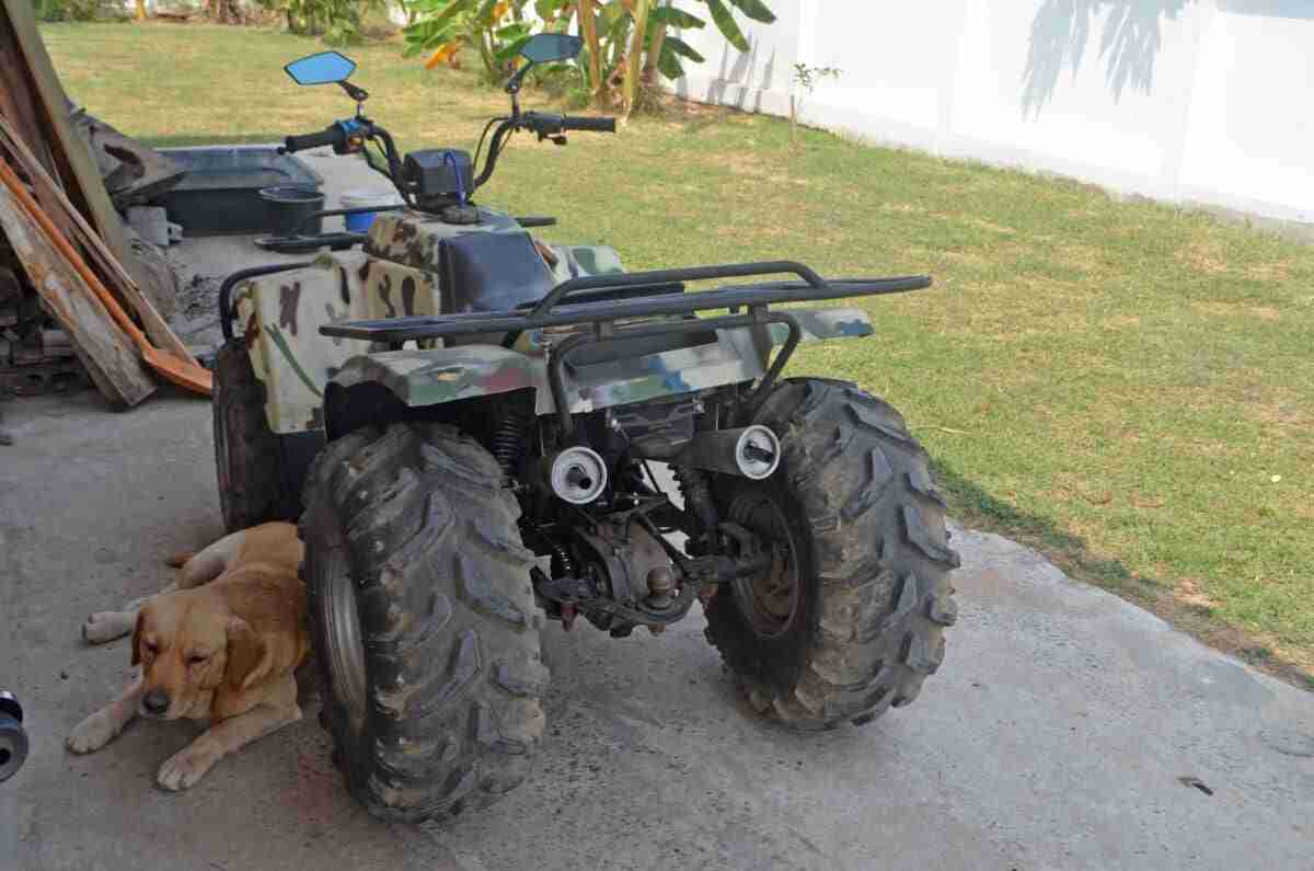 quad (1)