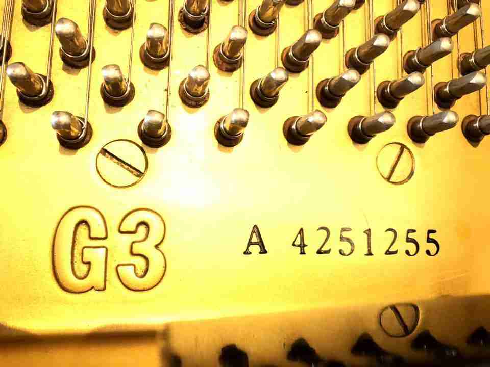 Yamaha 12