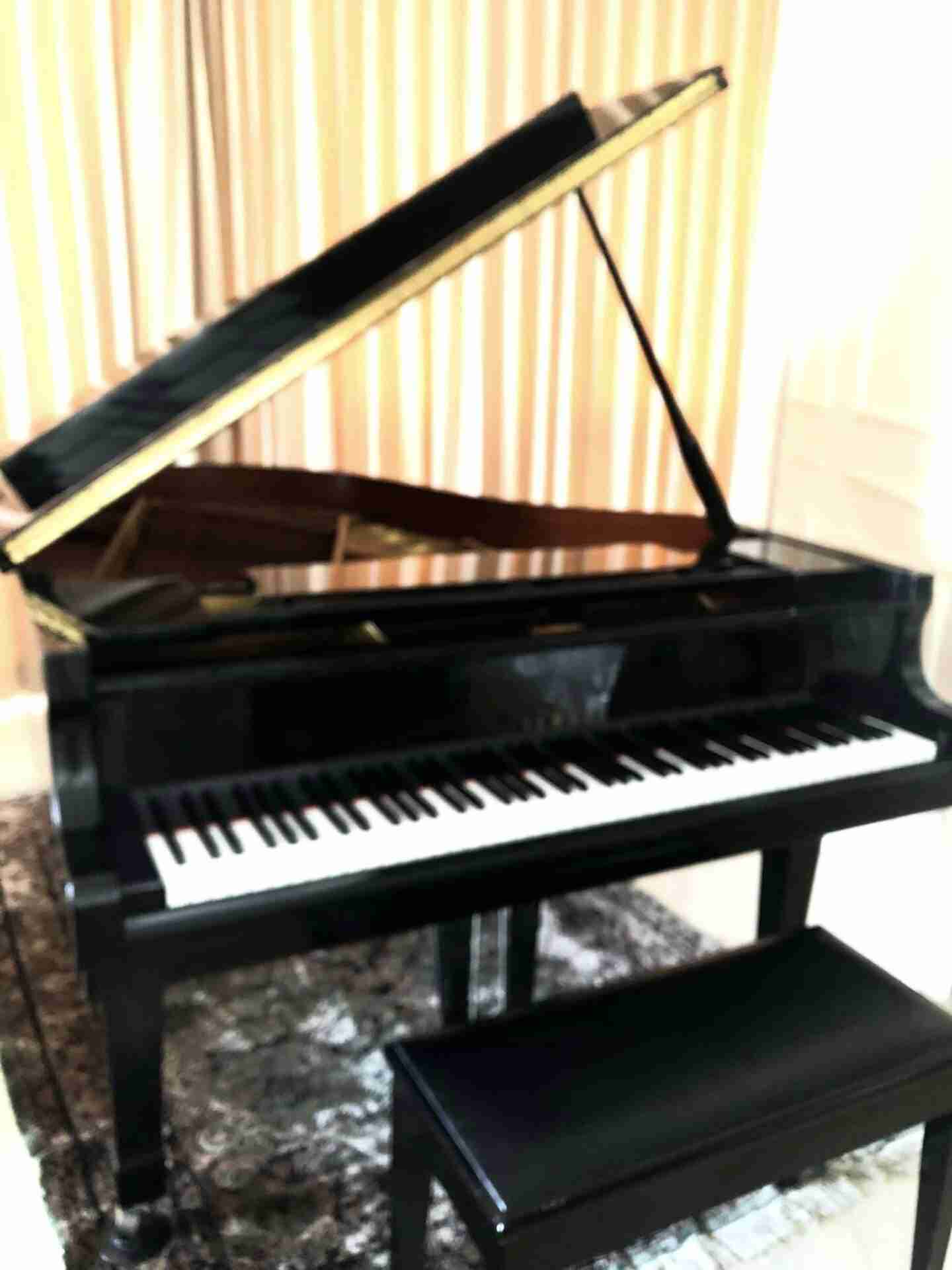 Yamaha 8