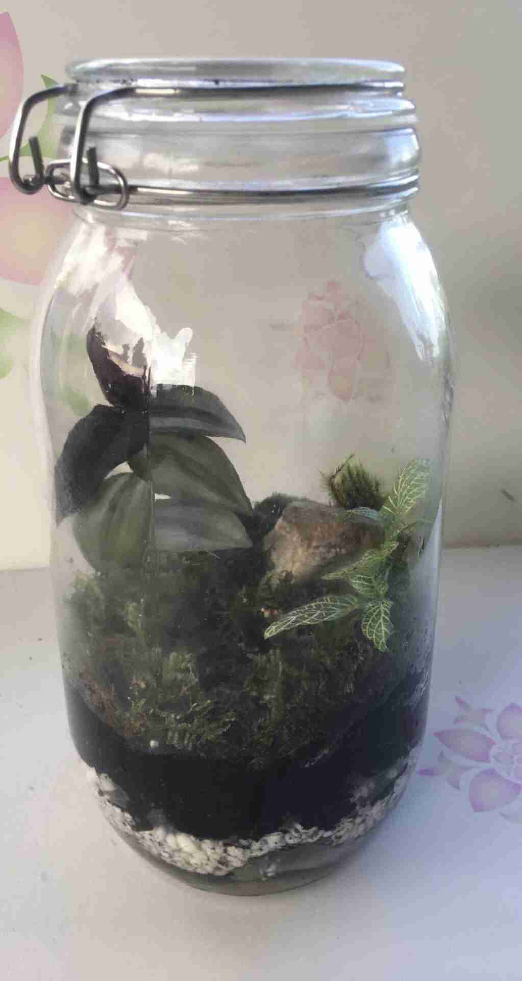 Vivarium 1