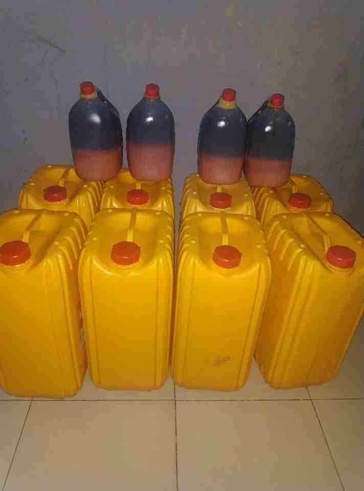 palm-oil-1 (1)