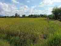 LINE_P20240512_202124336