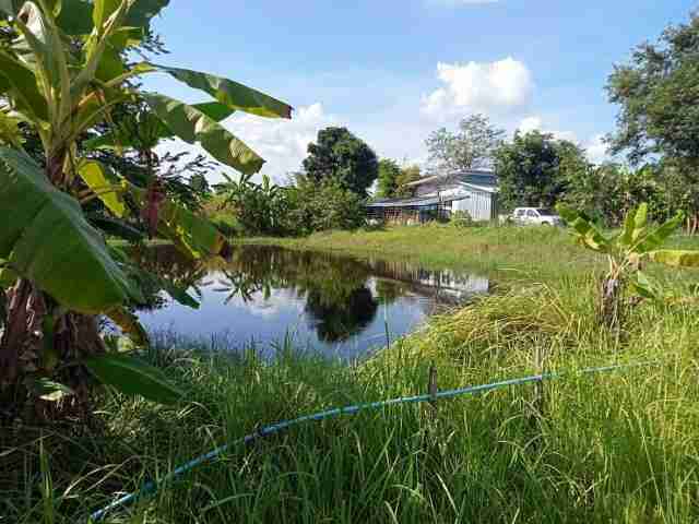 LINE_P20240512_202124341 (640x480)