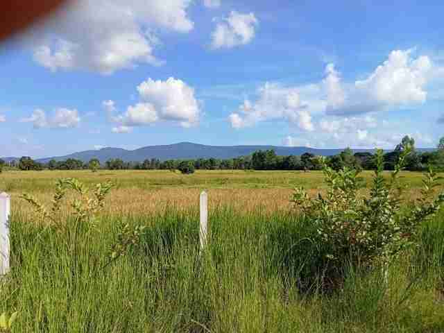LINE_P20240512_202124343_(1) (1) (640x480)
