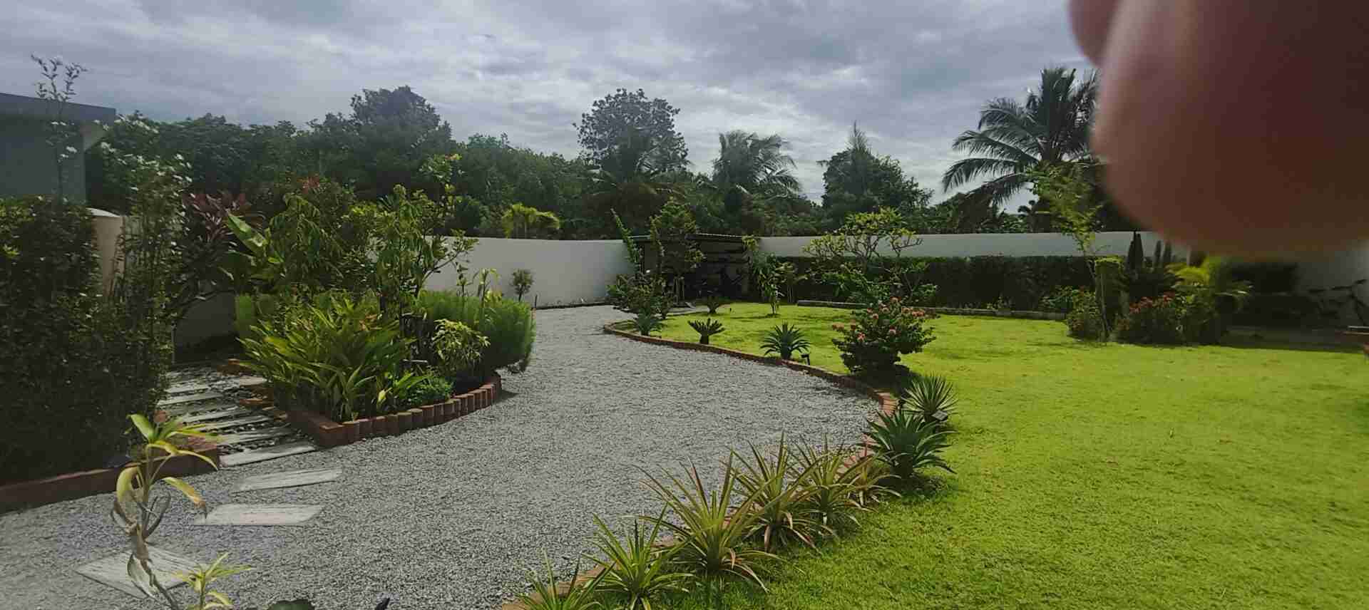 garden