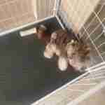 IMG-20250831-WA0005