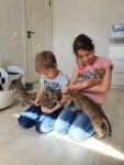 serval and caracal (5)