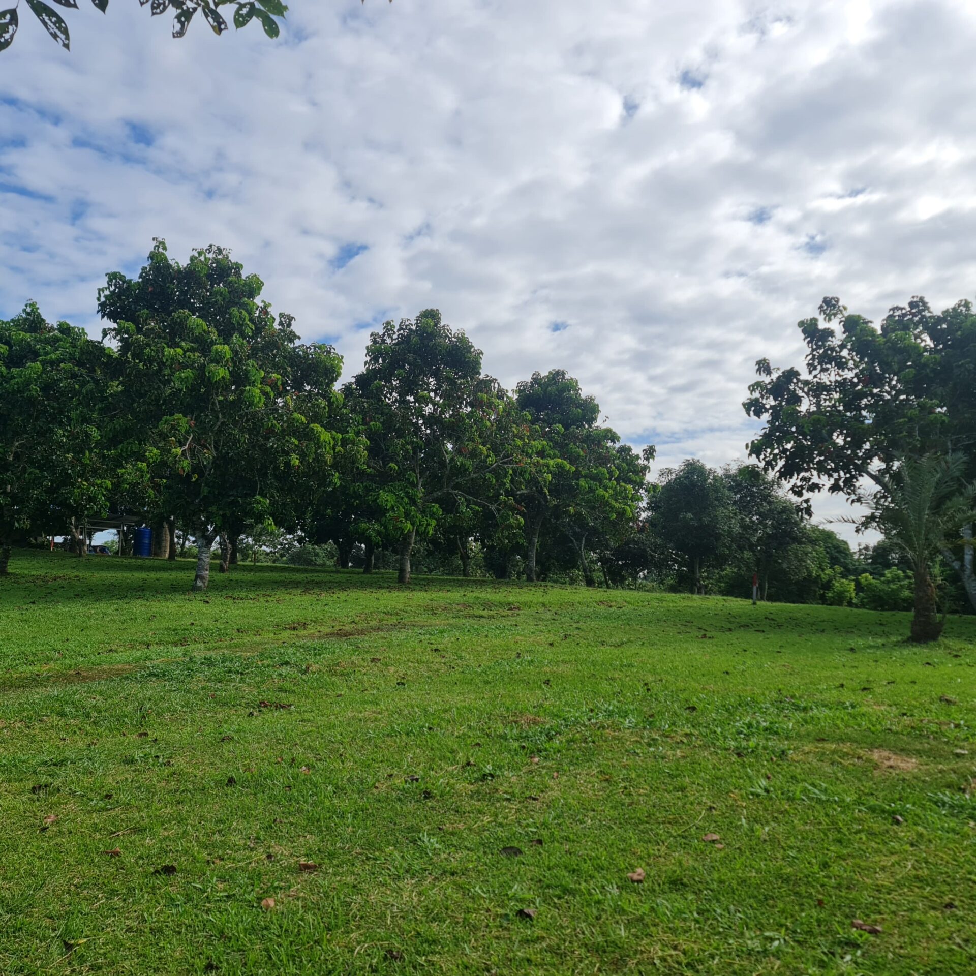 S9area (1)