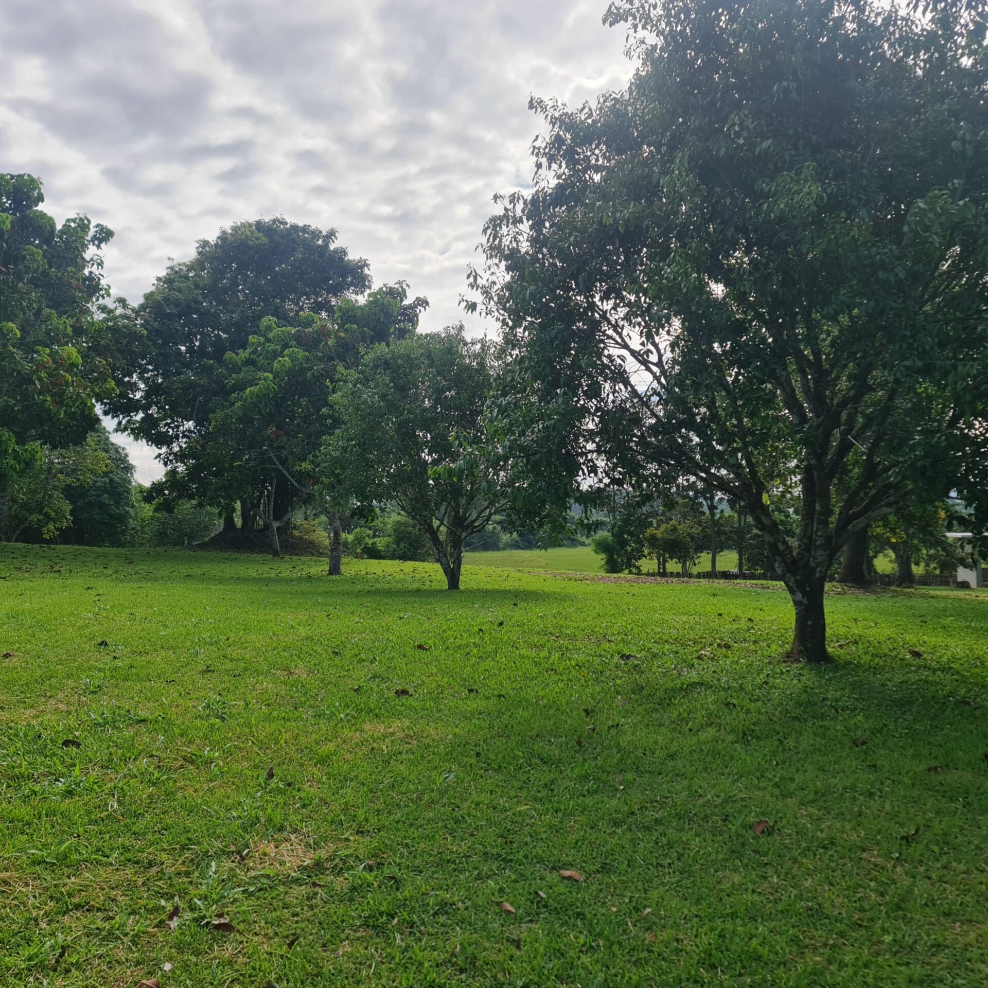 S9area (2)
