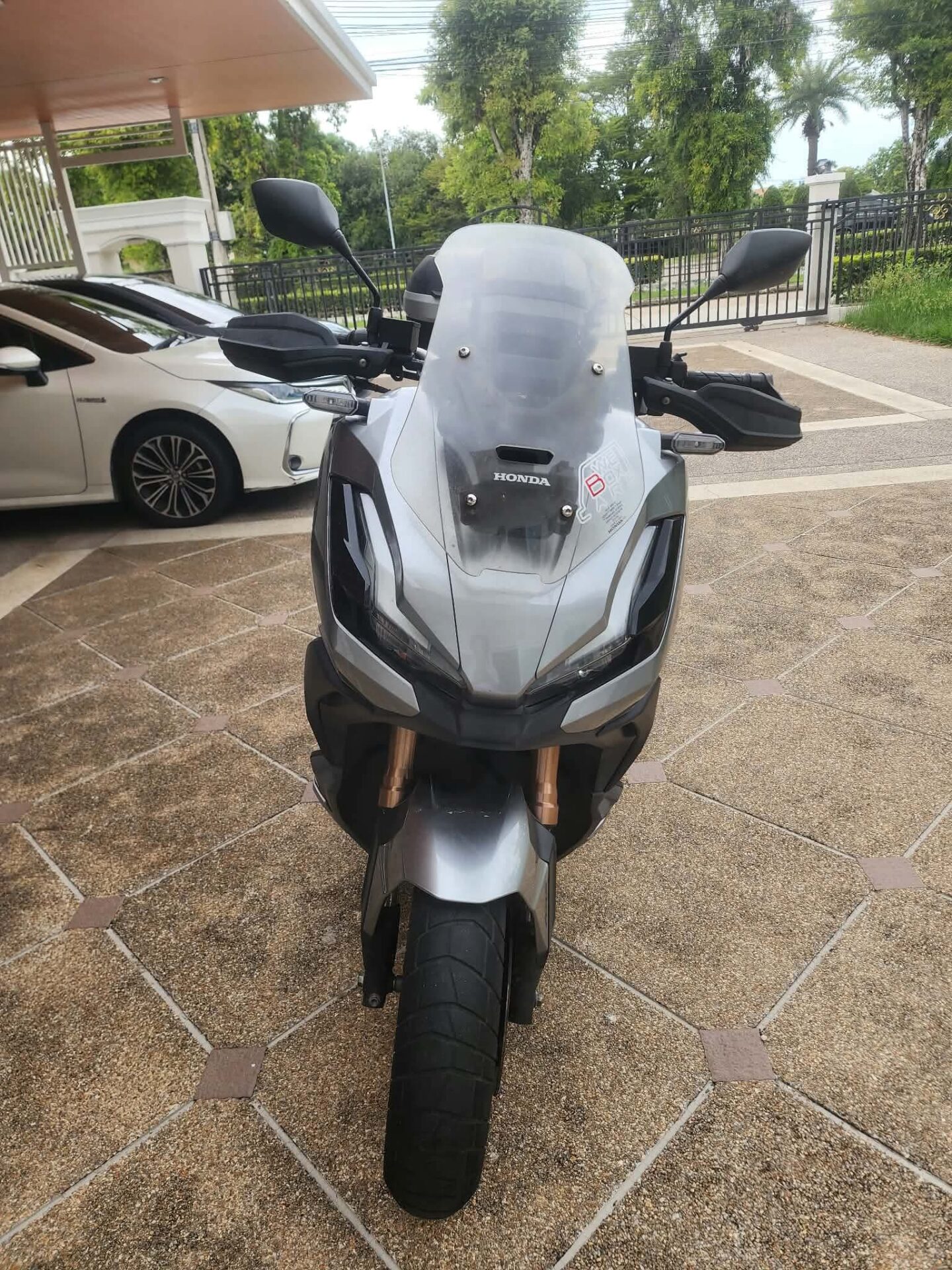 1000027556